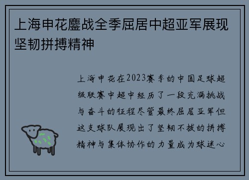 上海申花鏖战全季屈居中超亚军展现坚韧拼搏精神